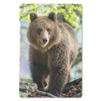 Produktbild von MuchoWow® Mauspad Mousepad Bär - Braun - Wald 40x60 cm - Mousepads - Maus Mat - Pad - Mausunterlage - Schreibtisch Accesoire
