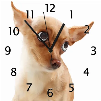 Produktbild von Wallario Design Wanduhr Lustiger Hund mit fliegenden Ohren aus Echtglas, Größe 30 x 30 cm