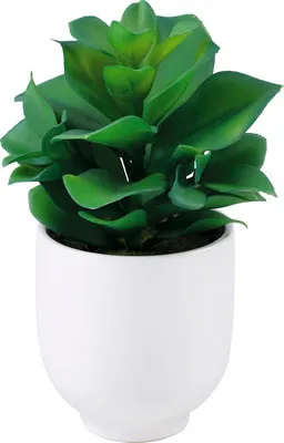 Produktbild von Kunstpflanze im Keramiktopf Lafiora Sukkulente 22 cm