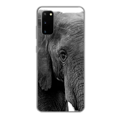 Produktbild von MuchoWow® Handyhülle Schutzhülle Hülle für Samsung Galaxy S20 Elefant - Tiere - Schwarz - Weiß - Natur Silikon Softcase Handy Hülle - Bild