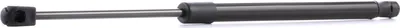 Produktbild von RIDEX 219G0246 Gasfeder Heckklappendämpfer für HYUNDAI SANTA FÉ II (CM) 452mm