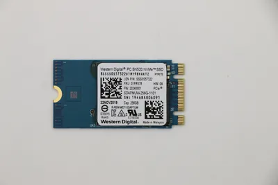 Immagine prodotto di Lenovo SDK 1101 256G M.2 PCIe 2242 SS (01FR578)