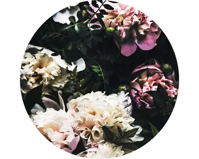 Produktbild von Glasbild Baroque Peonies GLR040 Ø 20 cm