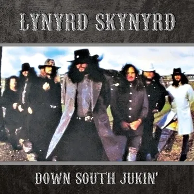 Image de Lynyrd Skynyrd - Down South Jukin