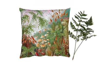 Produktbild von MuchoWow® Zierkissen Sofakissen Wohnzimmer Dekokissen 40x40 cm Alte Meister - Kunst - Muscinae - Haeckel - Foto Kissen - Schlafzimmer Dekoration