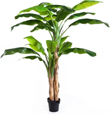Produktbild von artplants.de Künstlicher Bananenbaum Amaru, grün, 180cm - Deko Staude - Plastik Baum