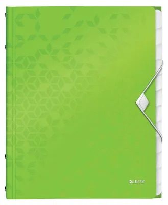 Produktbild von Leitz 46340054, A4, Polypropylen (PP), Grün, 200 Blätter, 80 g/m², 265 mm