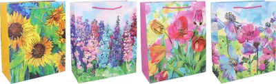 Obrázek produktu pro Dárková taška L 31x42x12 cm Celorok