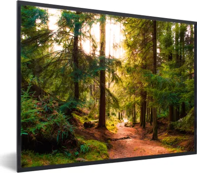 Produktbild von MuchoWow® Gerahmtes Poster Wald - Weg - Bäume - Grün - Sonne - Natur 80x60 cm - Poster mit Schwarzem Bilderrahmen Wandposter Rahmen Foto Bilder - Schwarzem - Mit Gestell