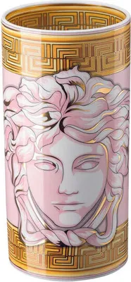 Produktbild von VERSACE HOME Medusa Amplified Vase 24 cm Rosa