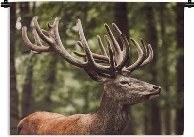 Produktbild von MuchoWow® Wandteppich Wandbehang Hirsch - Natur - Geweih - Wald - Tiere 90x67.5 cm Tapisserie Dekoration Wandtuch - Fototeppich - Wand-Skulpturen
