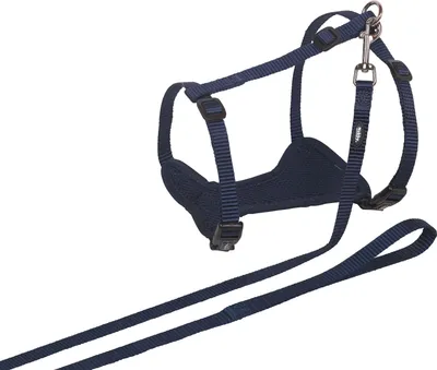 Image de Nobby Ensemble pour chats "Mesh" bleu ; L-XL