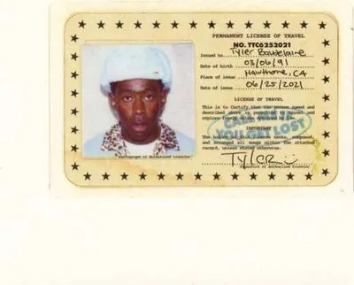 Obrázek produktu pro Tyler The Creator: Call Me If You Get Lost - - (CD / C)