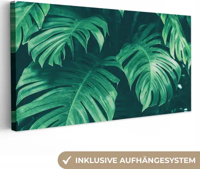 Produktbild von MuchoWow® - Leinwandbilder - Monstera - Blätter - Pflanzen - Dschungel - Natur, Wandbild, Wanddeko Bilder Wohnzimmer, 40x20 cm