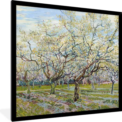 Produktbild von MuchoWow® Gerahmtes Poster Blühender Obstgarten - Vincent van Gogh 40x40 cm - Poster mit Schwarzem Bilderrahmen Wandposter Rahmen Foto Bilder - Mit Rahmen - Wanddekoration Schlafzimmer