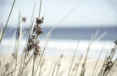 Produktbild von Decoblock 90x58 cm Strandblume