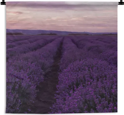 Produktbild von MuchoWow® Wandteppich Wandbehang Lavendel - Lila - Blumen - Natur 120x120 cm Tapisserie Dekoration Wandtuch - Modern - Baumwollgewebe