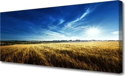 Produktbild von Tulup Leinwand-Bilder 125x50 Wandbild Canvas Kunstdruck Acker Himmel Natur