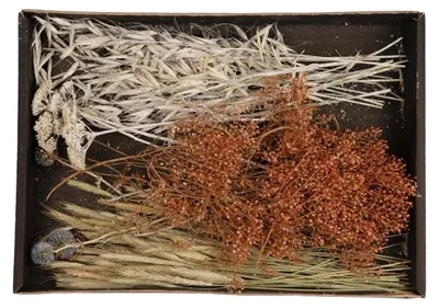 Zdjęcie produktu dla Taca na mieszankę suszonych kwiatów 38x26x5cm