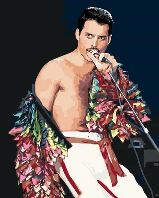 Produktbild von Malen nach Zahlen mit einem Rahmen Gemälde - Freddie Mercury 40x50 cm