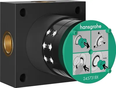 Produktbild von HANSGROHE 24573180 Grundkörper für Kopfbrause 2jet