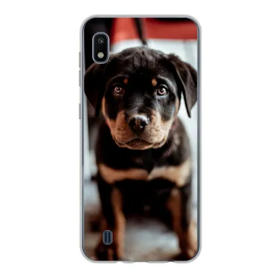 Produktbild von MuchoWow® Handyhülle Schutzhülle Hülle für Samsung Galaxy A10 Jung - Hund - Kamera Silikon Softcase Handy Hülle - Schutzhülle