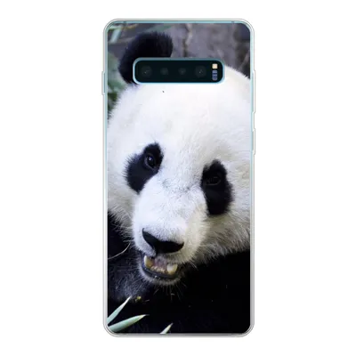 Produktbild von MuchoWow® Handyhülle Schutzhülle Hülle für Samsung Galaxy S10 Plus Panda - Tier - Blätter Silikon Softcase Handy Hülle - Schutzhülle