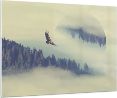 Produktbild von Bilder auf glas - Vogel Natur Wald - 100x70cm - Glasbilder - Wandbilder - Kunstdruck - zum Aufhängen bereit - Wanddekoration aus Glas - Glas Bilder - Wandbild auf Glas - Einteilig - GAA100x70-3853