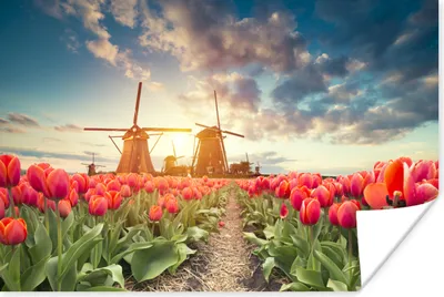 Produktbild von MuchoWow® Poster Windmühle - Blumen - Sonne 60x40 cm - Schlafzimmerdekoration