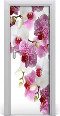 Produktbild von Tulup Türaufkleber 75x205 cm Dekorative Aufkleber Selbstklebend Wasserdichte Tapete Abnehmbar Schlafzimmer Wohnzimmer Wohnkultur - Orchidee
