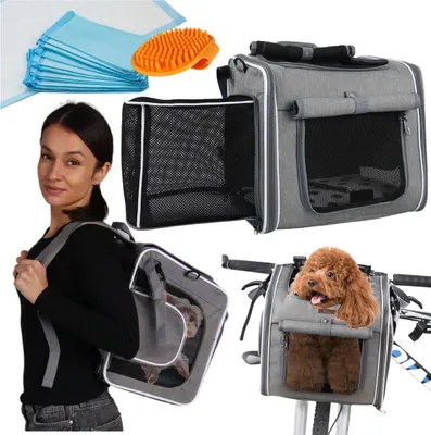 A collage of images showing a woman carrying a dog backpack, a dog in a bicycle basket, and pet accessories.