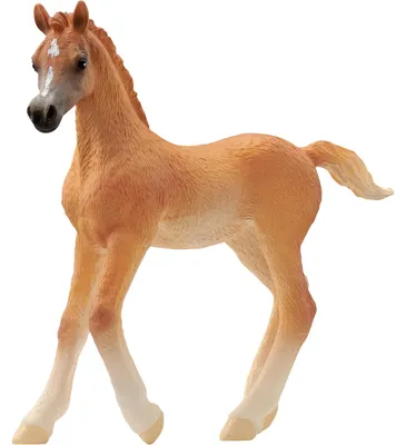 Produktbild von Schleich 13984 - Araber Fohlen - Horse Club