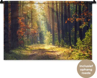 Produktbild von MuchoWow® Wandteppich Wandbehang Wald - Herbst - Bäume 90x60 cm Tapisserie Dekoration Wandtuch - Wandskulpturen - Bildteppich