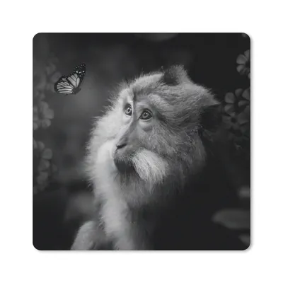 Produktbild von MuchoWow® Mauspad Mousepad Schmetterling - Tiere - Affe - Schwarz - Weiß 30x30 cm - Mousepads - Maus Mat - Pad - Mausunterlage - Gaming