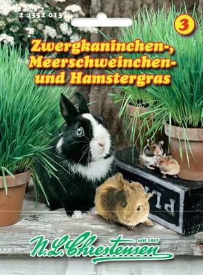 Produktbild von Hamster - und Zwergkaninchengras | Kleintiersaaten von N.L. Chrestensen