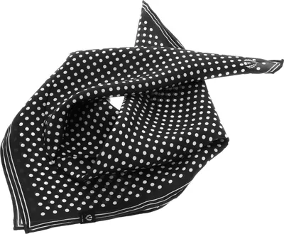 Produktbild von FRAAS Tuch Classic Square Made of Pure Silk Black schwarz mehrfarbig