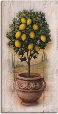 Produktbild von ARTland Leinwandbild Zitronenbaum mit Holzoptik Größe: 20x40 cm