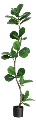 Obrázek produktu pro Fíkovník lyrovitý (Ficus lyrata) – umělý strom – výška 152 cm – plast – s květináčem – pro domácnost a kancelář – do interiéru i exteriéru – černý