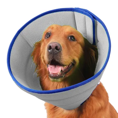 Image de Collier pour chien, souple et respirant, taille 9, réglable, idéal pour la convalescence