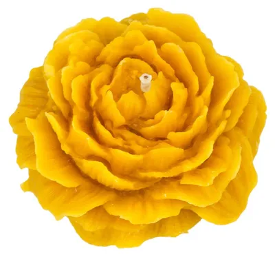 Imagen del producto de Vela de peonía, elaborada con cera de abeja 100% natural
