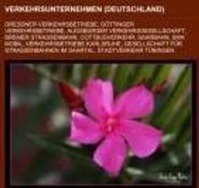 Produktbild von Verkehrsunternehmen (Deutschland)