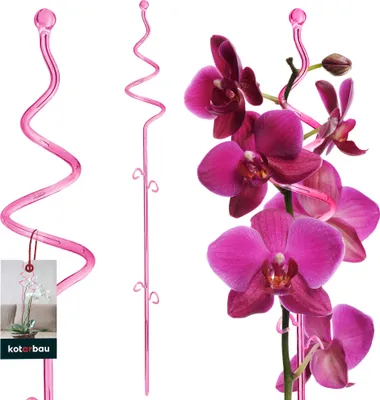Obrázek produktu pro KOTARBAU® Podpora rostlin růžová PVC 58 cm spirálová podpora květin horolezecká pomůcka pokojové rostliny podpora květin zahradní orchideje podpora tyče rostliny dekorativní držák rostlin pokojové rostliny horolezecké tyče
