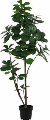 Produktbild von Ficus lyrata Kunstpflanze 150cm – Große Geigenfeige Deko Pflanze – Pflegefreie Zimmerpflanze für Wohnzimmer Büro & Empfangsbereich