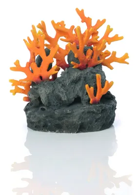 Produktbild von biOrb Lavagestein mit Feuerkoralle Ornament (46123)