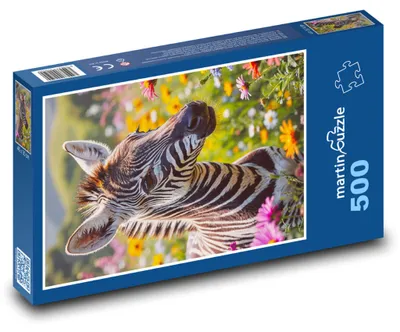 Produktbild von martinpuzzle - Puzzle 500 Teile - Zebra