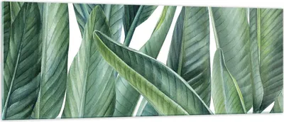 Produktbild von Bilder auf glas - Einteilig - Exotisch Blätter Grün - 140x50cm - Glasbilder - Wandbilder - Bilder - zum Aufhängen bereit - Wanddekoration aus Glas - Glas Bilder - Wandbild auf Glas - GAB140x50-4258