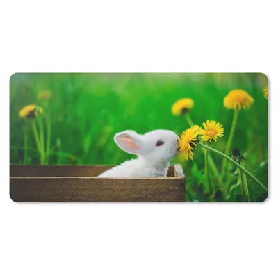 Produktbild von MuchoWow® Schreibtischunterlage Kaninchen - Löwenzahn - Gras 80x40 cm - XXL Mauspad - Gaming Mauspad
