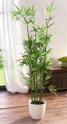 Image de Plante artificielle "Bambou" en pot, hauteur 115 cm, plante d'ornement, plante de bureau, plante décorative