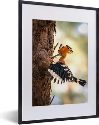 Produktbild von MuchoWow® MuchoWow® Gerahmtes Poster Vogel - Baum - Wald 30x40 cm - Poster mit zchwarzem Bilderrahmen - Wandposter Schlafzimmer