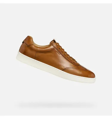 Produktbild von Geox Braune Herren-Sneaker Regio 41